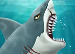 Shark Attack-Casual