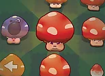 Mushroom Pop