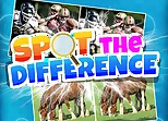 Spot the Difference