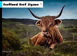 Scotland Beef Jigsaw