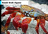 Beach Crab Jigsaw