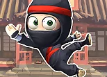 Super Ninja Adventure