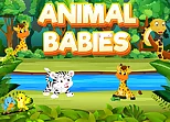 Animal Babies
