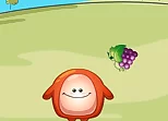 Chaki Food Drop