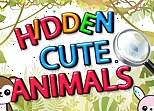 Hidden Cute Animals