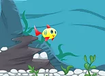 The Happiest Fish