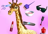 Animal Fashion Hair Salon