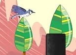 Bird Flying