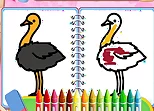 Coloring Birds Game