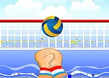 Volley ball