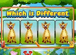 Which Is Different Animal