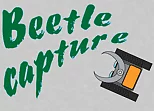 Beetle capture