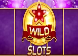 Wild Slot