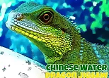 Chinese Water Dragon Jigsaw