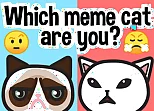 Which meme cat are you?