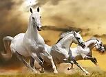 Running Horse Slide