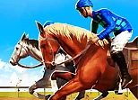 Horse Racing Games 2020 Derby Riding Race 3d