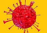 Fight Virus