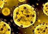 Coronavirus Slide