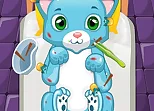 Pet Doctor : Animal Care Game