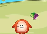 Chaki Food Drop