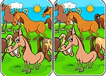 Animals Differences