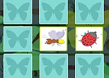 Kids Memory with Insects
