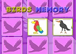 Kids Memory with Birds