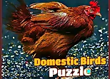 Domestic Birds Puzzle