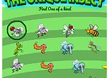 The Unique Insect