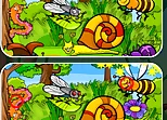 Insects Photo Differences