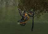 Mountain Bike Rider
