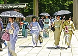 100 Butterflies in Japan