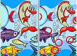 Fish Differences