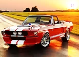 Fancy Mustang Differences