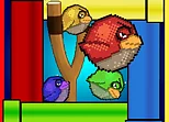 Angry Flappy Birds