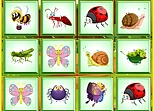 Find the Insect