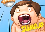FZ Sumo Battle