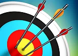Master Archery Shooting