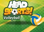 Head Sports Volleyball