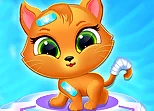 Cute Cat Doctor
