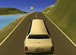 Limousine Driver