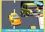 Drive and Park Car