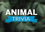 Animal Trivia