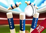 Cricket World Cup Game 2019 Mini Ground Cricke