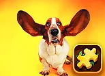 Funny Dogs Puzzle