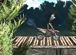 Bike Trial Xtreme Forest