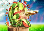 Watermelon Shooting 3D