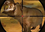 Classical Hippo Hunting