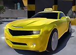 Real Taxi Driver